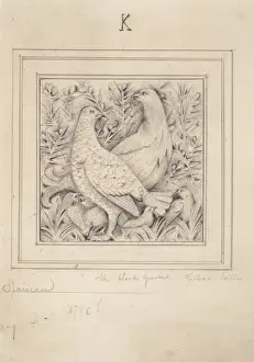 Natural History Museum Interior Drucke: Black grouse design