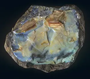Schwarzes Smaragdglasgewicht