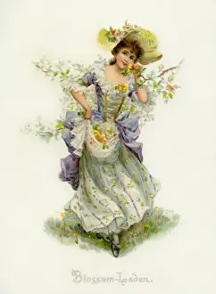 Antique Book Illustrations Online Drucke: Blossom Laden
