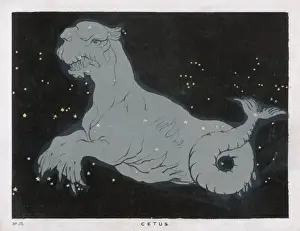 Constellation Art Prints Drucke: Blunt / Cetus / Plate 53