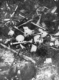 World War 1 Battlefield Drucke: Bones 1916