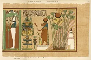 Egyptian Mythology Gods Drucke: Book of the Dead / 37