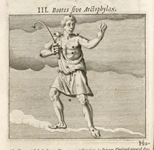 17th Century Paintings Drucke: BOOTES 1681