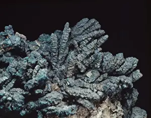 Bornite Mineral Drucke: Bornite