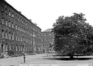 Early 1900s Irish Architecture Photos Drucke: Botany Bay, Trinity, Dublin