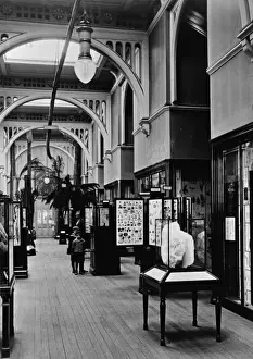 Natural History Museum Exhibit Drucke: The Botany Gallery