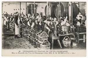 Vintage Wine Bottles Drucke: Bottling at Mumm s