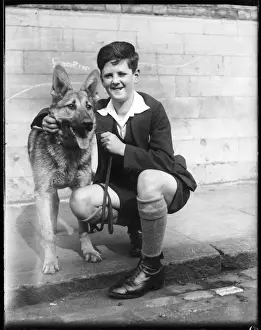 Young Boy With Dog Drucke: Boy & German Shepherd