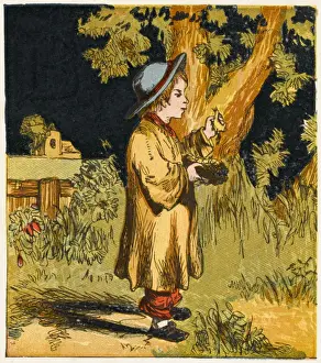 Tree Nesting Birds Drucke: Boy with Nest & Bird