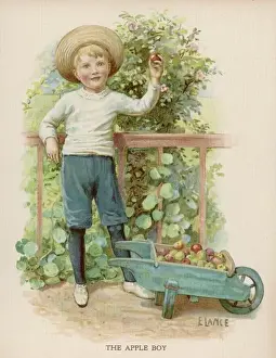 Apple Tree Illustration Drucke: Boy Picking Apples