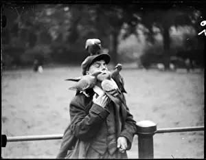 Hyde Park London Photos Drucke: Boy & Pigeons