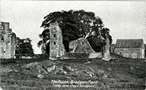Leicestershire Drucke: Bradgate-Park in Newtown-Linford, Leicschen?