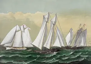 Windy Weather Images Drucke: A breezy day outside