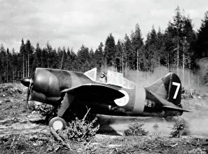 Drucke von Brewster F2A Buffalo -Im Gegensatz zu anderen Buffalos nutzten die Finnen erfolgreich den Contra (Seitenansicht) gegen ihre sowjetischen Eindringlinge Finnland Drucke: Brewster F2A Buffalo -Im Gegensatz zu anderen Buffalo-Nutzern ist der F