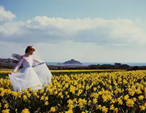 Drucke von Eine Braut im Tulpenfeld mit St Michael's Mount im Hintergrund, Marazion, Kornwall. Datum: um die 1980er Jahre Berg Drucke: Bräutigam im Gelbenfeld mit Düfflod (St Michael's Berg, Kornwall)