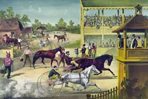 Horse Riding Techniques Drucke: Bring up your horses