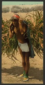 Nineteenth Century Countryside Scenes Drucke: Bringing in the harvest