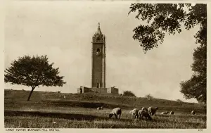Bristol - Cabotturm, Brandon-Hill