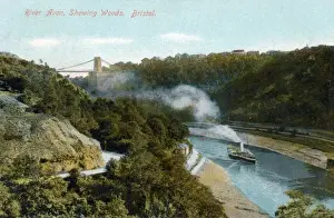 Bristol River Avon Drucke: Bristol, River Avon showing woods