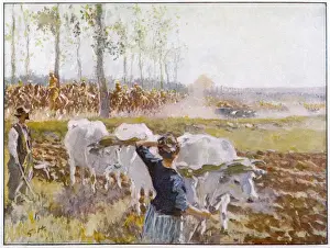 Historical Military Art Prints Drucke: British Cavalry Advance