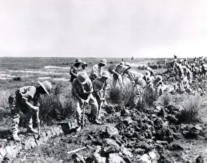 WW1 British Army Drucke: British troops draining marshes, Salonika Front, WW1