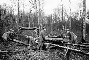 WW1 British Troops Drucke: British troops transferring logs, Western Front, WW1