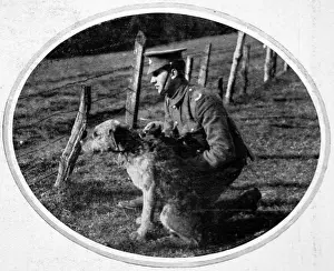 Britischer Kriegshund