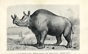 Drucke von Brontopsis robusta... Lithografie nach einer Zeichnung von J.Smith aus dem 'Extinct Monsters und Creatures of other days', Chapman and Hall, London 1894 Robustus Drucke: Robustbrachycephalus