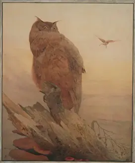 Watercolour Bird Paintings Drucke: Bubo bubo, northern eagle-owl