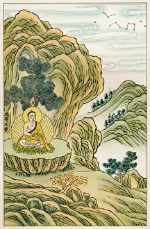 Der Buddha wird erweckt