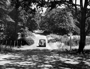 Leisure Activities In England Drucke: Burnham Beeches