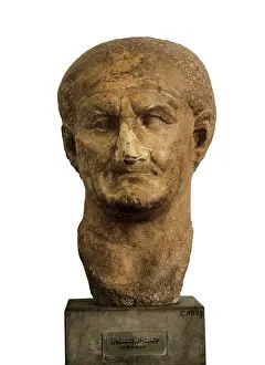 Drucke von Säulenbüste des Vespasians, Skulptur aus Marmor Verwandte Bilder Drucke: Skulptur des Vespasanus