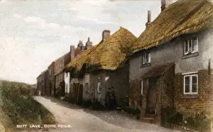 Historical England Images Drucke: Butt Lane, Bere Regis, Dorset