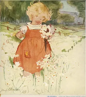Die Schmetterlinge von Muriel Dawsons