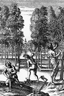 Orchard Scene Painting Drucke: C18 Apple Orchard