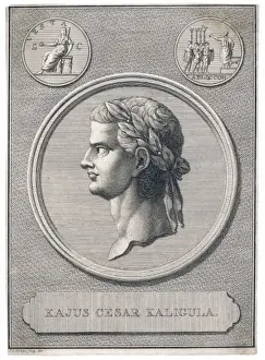 Antique Portraits For Sale Drucke: Caligula / Phillips