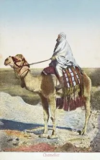 Kamel-Fahrer