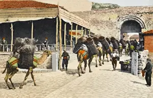 Istanbul Street Scene Drucke: A camel train - Constantinople