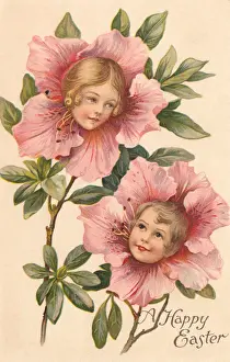 Kameliendornblume gegenüber