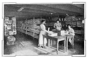 Drucke von Krebsforschung am Gratwick Laboratorium in Buffalo, New York, die mit beeindruckenden Ergebnissen bei Ratten im Jahr 1909 Erfolge erzielt hat. Datum: 1909 Büffel Drucke: Krebsforschung