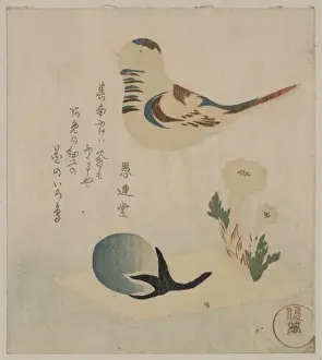 Early 19th Century Japanese Art Drucke: Candy bubble