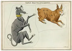 Sternkarten Drucke: Der Canis-Major-Stern-Atlas