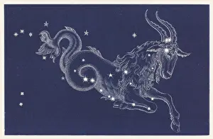Sternkarten Drucke: Capricorn