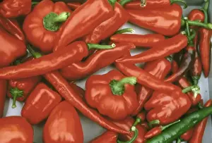 Vegetable Images Drucke: Capsicum sp. pepper