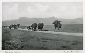 Wohnwagen Drucke: Reisezug nach Peshawar