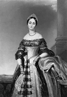 Devonshire Family History Drucke: Caroline Bellew