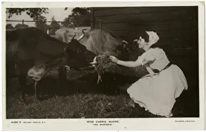 Early 20th Century Performing Arts Drucke: Carrie Moore / Postcard