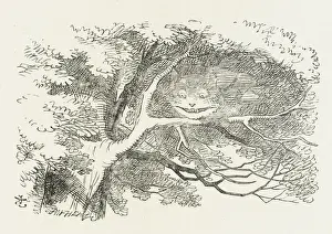 Cheshire Drucke: Karlotta / Katze aus dem Wald