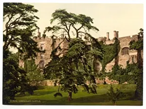 Old England Views Drucke: The Castle, Berkeley, England