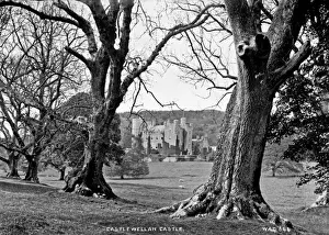 Historic Irish Castles Drucke: Castlewellan Castle